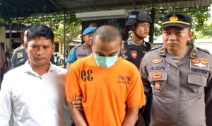 WhatsApp Image 2025-10-29 at 02.29.49