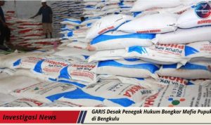 WhatsApp Image 2025-10-29 at 11.38.49