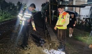 WhatsApp Image 2025-10-29 at 13.23.05