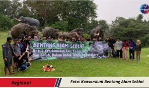 WhatsApp Image 2025-10-31 at 23.13.57