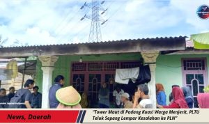 WhatsApp Image 2025-10-31 at 23.38.37