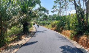 IMG-20251103-WA0018-1762238727