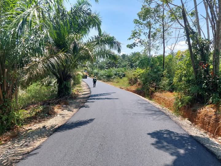 IMG-20251103-WA0018-1762238727