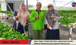 WhatsApp Image 2025-11-01 at 20.44.26