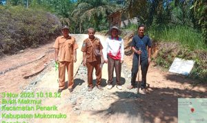 WhatsApp Image 2025-11-03 at 15.43.34