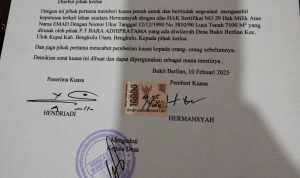 WhatsApp Image 2025-11-11 at 22.01.53