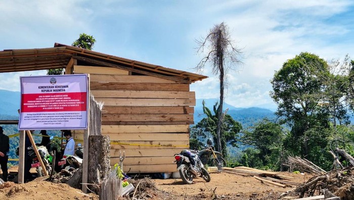 kawasan-hutan-di-bengkulu-yang-diamankan-kemenhut-1762602334263_169