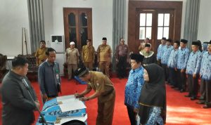 79803933_156578102414667_4789489164741509120_n