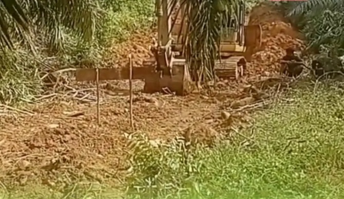 Malin Deman Lahan Boundri PT DDP Polemik Patok Konflik Lahan Eks BBS Memanas, Warga Keluhkan Akses Terputus dan Sawit Rusak Diduga Akibat Pemasangan Patok PT DDP