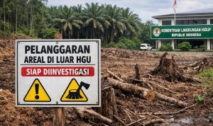 WhatsApp Image 2026-01-21 at 11.13.19