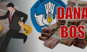 WhatsApp Image 2026-01-25 at 11.37.50