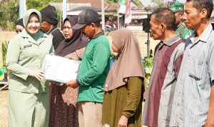 Komiten Persit Sukseskan TMMD 129 Bojonegoro di Kesongo
